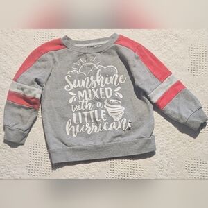 ⭐️$3 Just Add To Cart | George Gray and Red Kids Sweatshirt